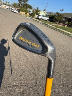 Momentous Swing Trainer