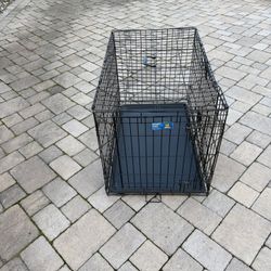 Dog Cage With Tray 