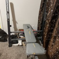 Olympic Weights  4 Discs 35 And 45 Pounds