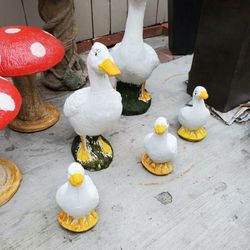 Ducks for sale