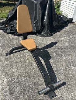 Short back workout seated bench