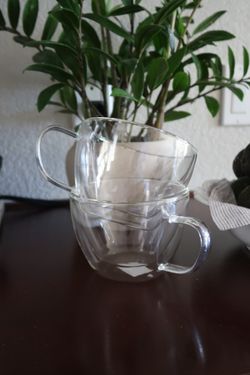 Williams Sonoma Double Wall Insulated Latte Mugs • Set of 2 New