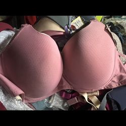3x20 Dollars New Lady’s Bra 38 Dds