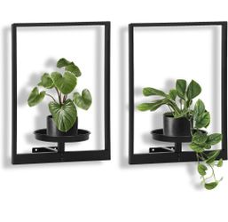 Plant Wall Frame 