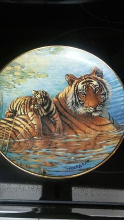 Afternoon swim tiger