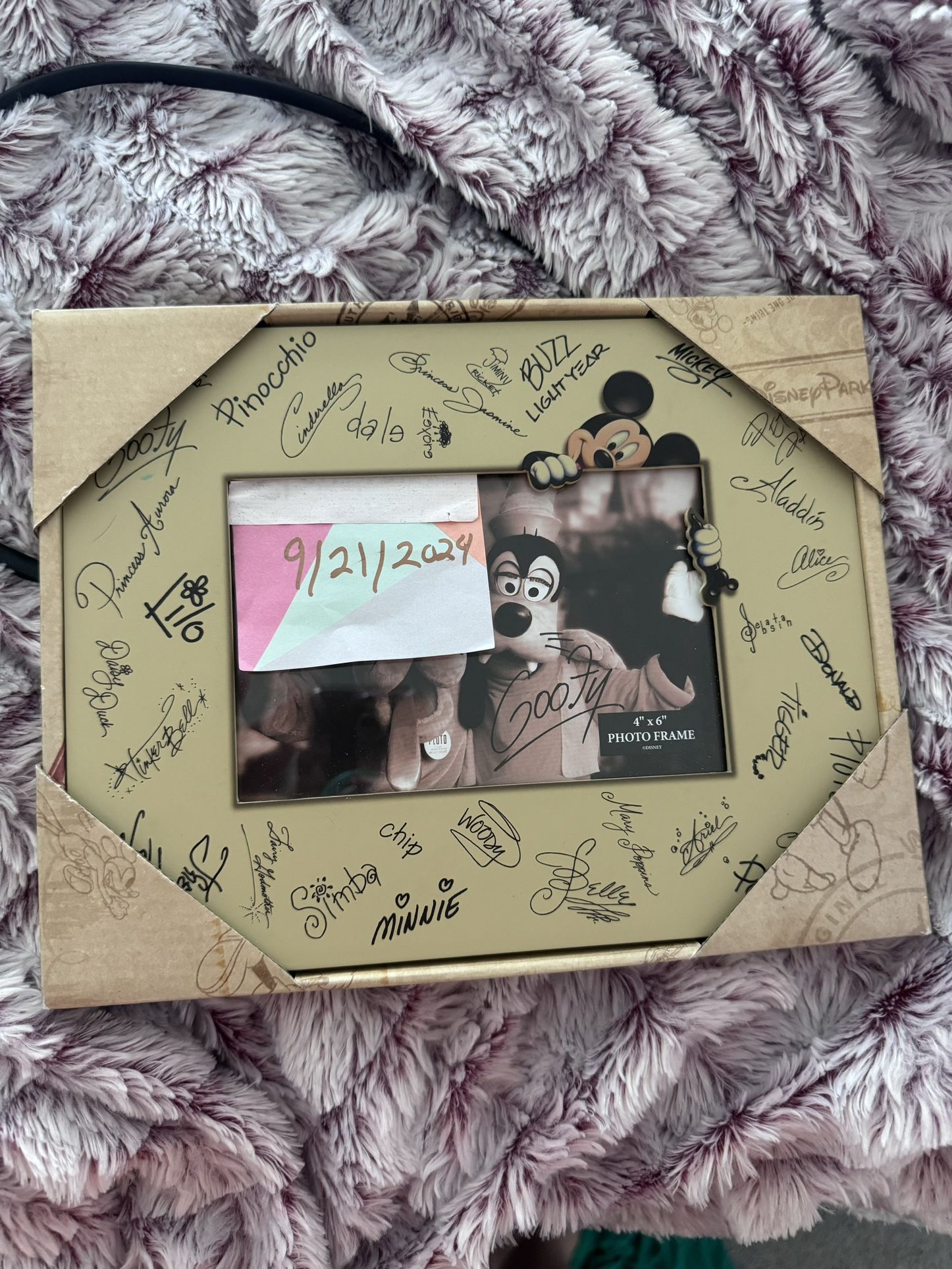 Disney Picture Frame