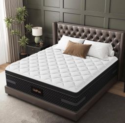 Queen Matress