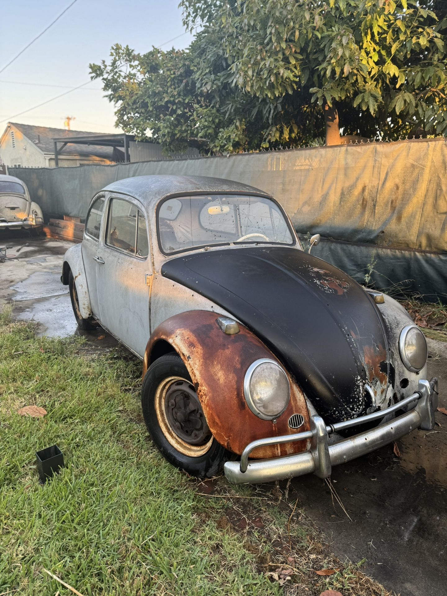 1966 Volkswagen Beetle