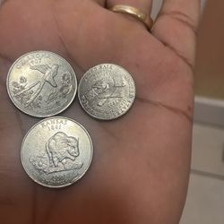 Coin