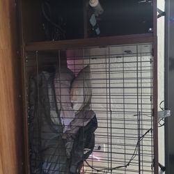 Dog Crate Table