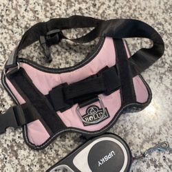 Medium Dog Harness & Leash 