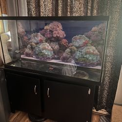 Fish Tank With Stand