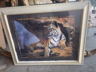 Tiger Portrait