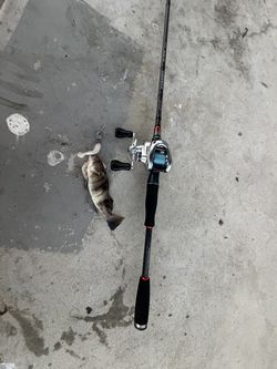 Irod Coastal Kaimana baitcasting rod