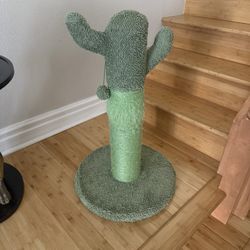 Cat Tree Cactus