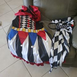 clown costume  L