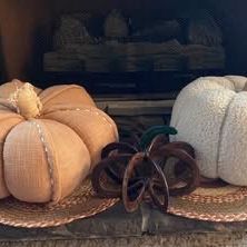 LIKE NEW Pumpkins Horseshoe Pumpkin