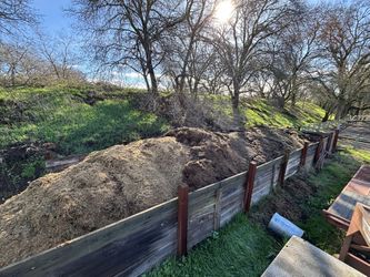 Horse manure