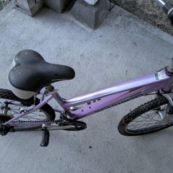 Bike Schwinn 