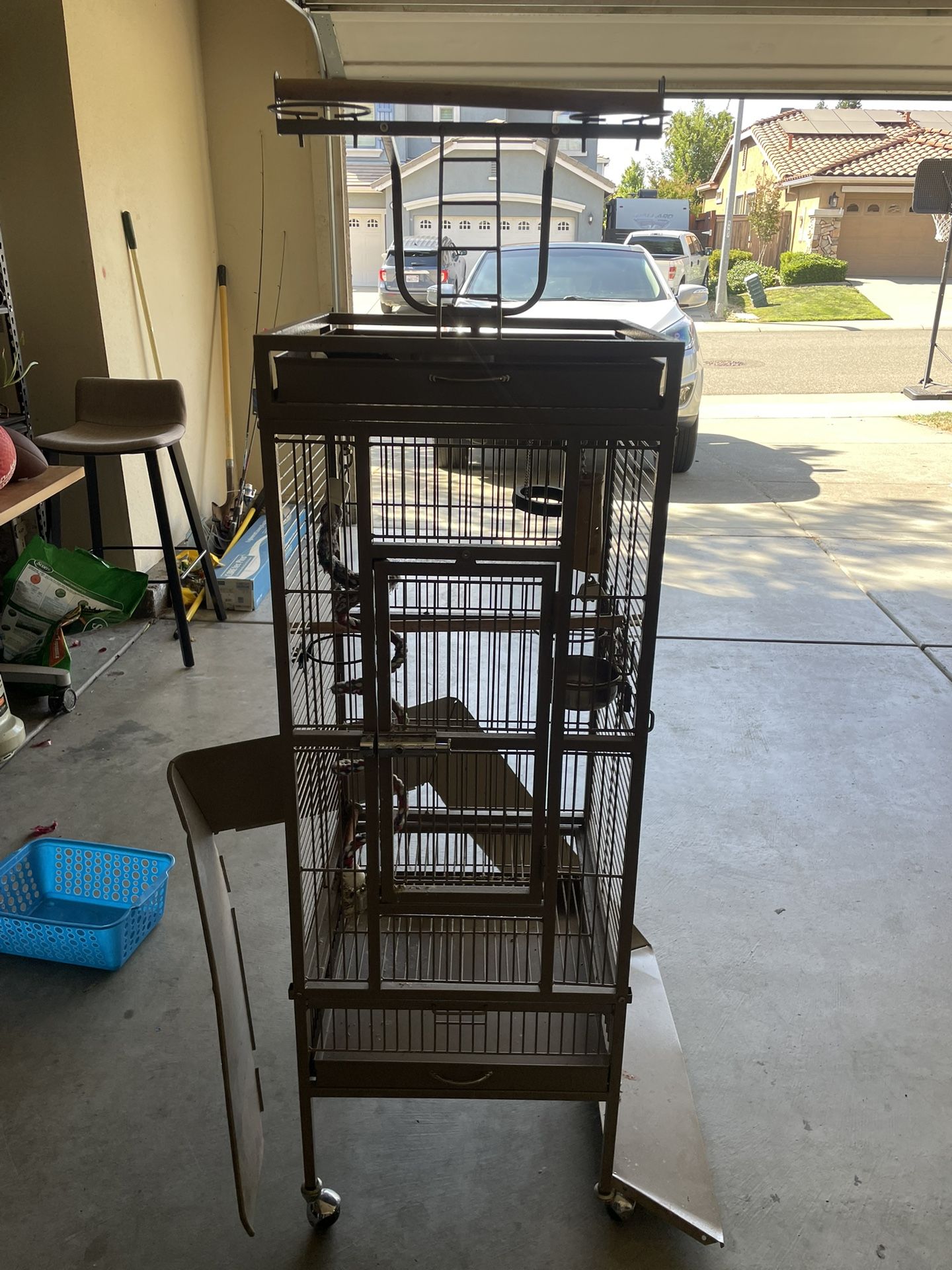 Bird Cage