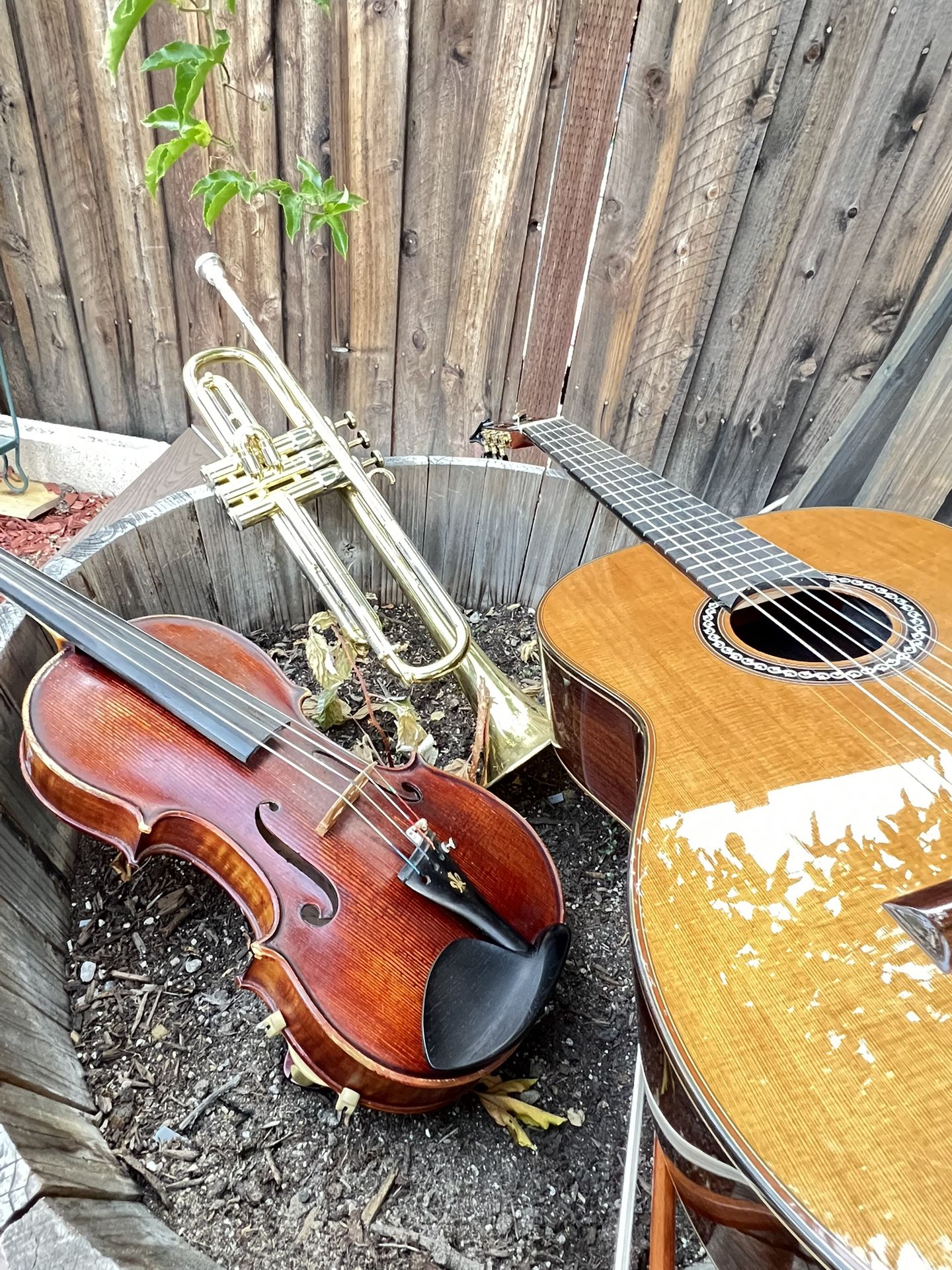 Trio Mariachi Para Su Fiesta.