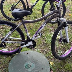 Whirl Wind Genesis Mt Bike 