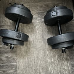 2 20 Pound Dumbbells 