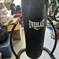 Everlast Punching Bag And Pull Up Bar