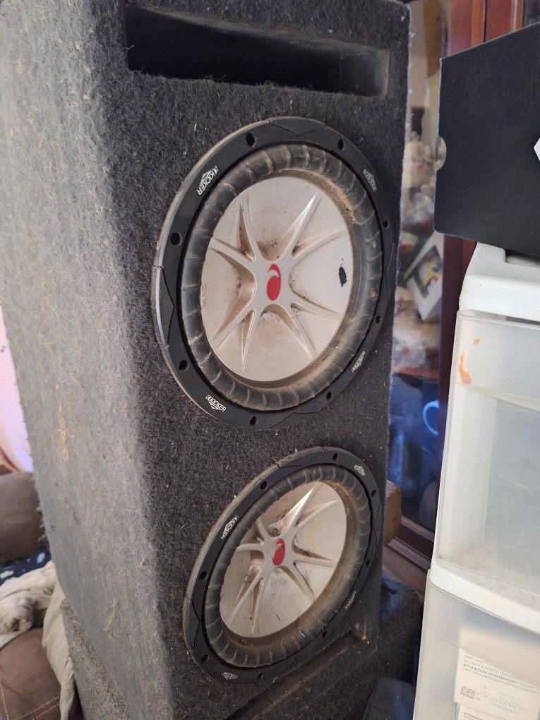 10 In Speakers With Box