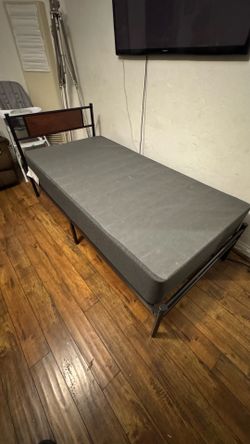 Twin Bed Frame and Beautyrest Box Spring - $40