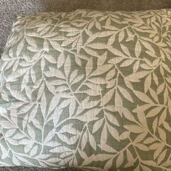 2 Couch Pillows 