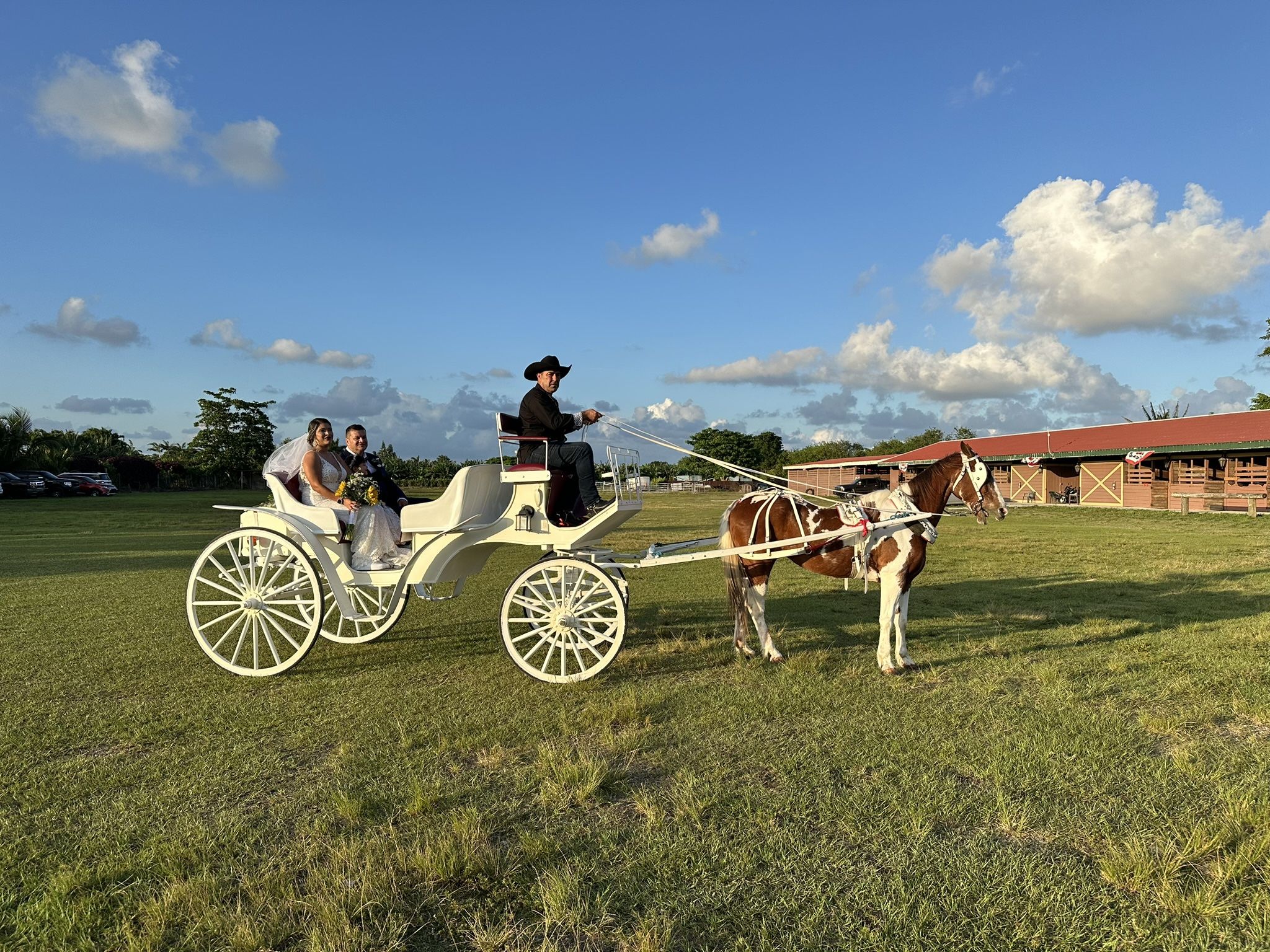Horse Carriage/Carruaje de Caballo