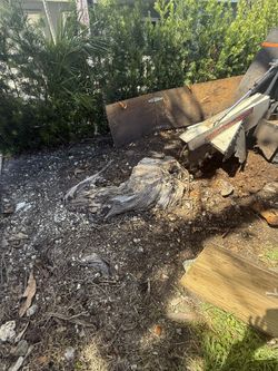 stump grinding