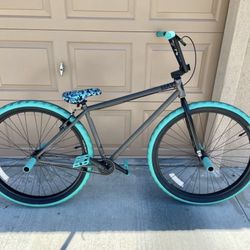 Max 29" BMX with lots of upgrades