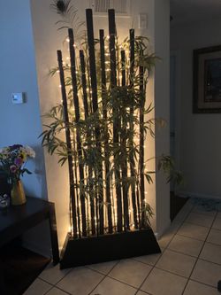 Bamboo set up