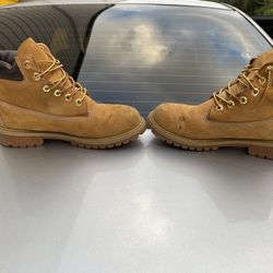 Wheat Timberland 🥾