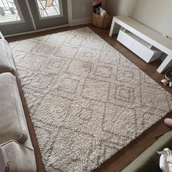 Area Rug