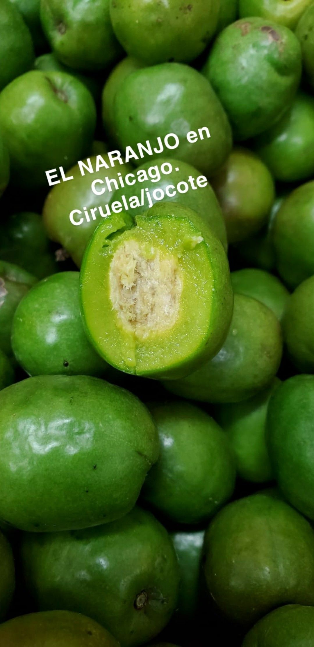 Ciruela cuernavaqueña/ jocote