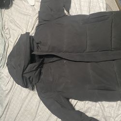 Canada goose (large)