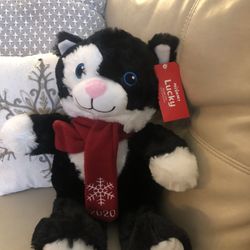 PetSmart 2020 Squeak Toy