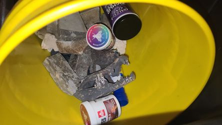 Free Fish Tank, light, oxygen, etc