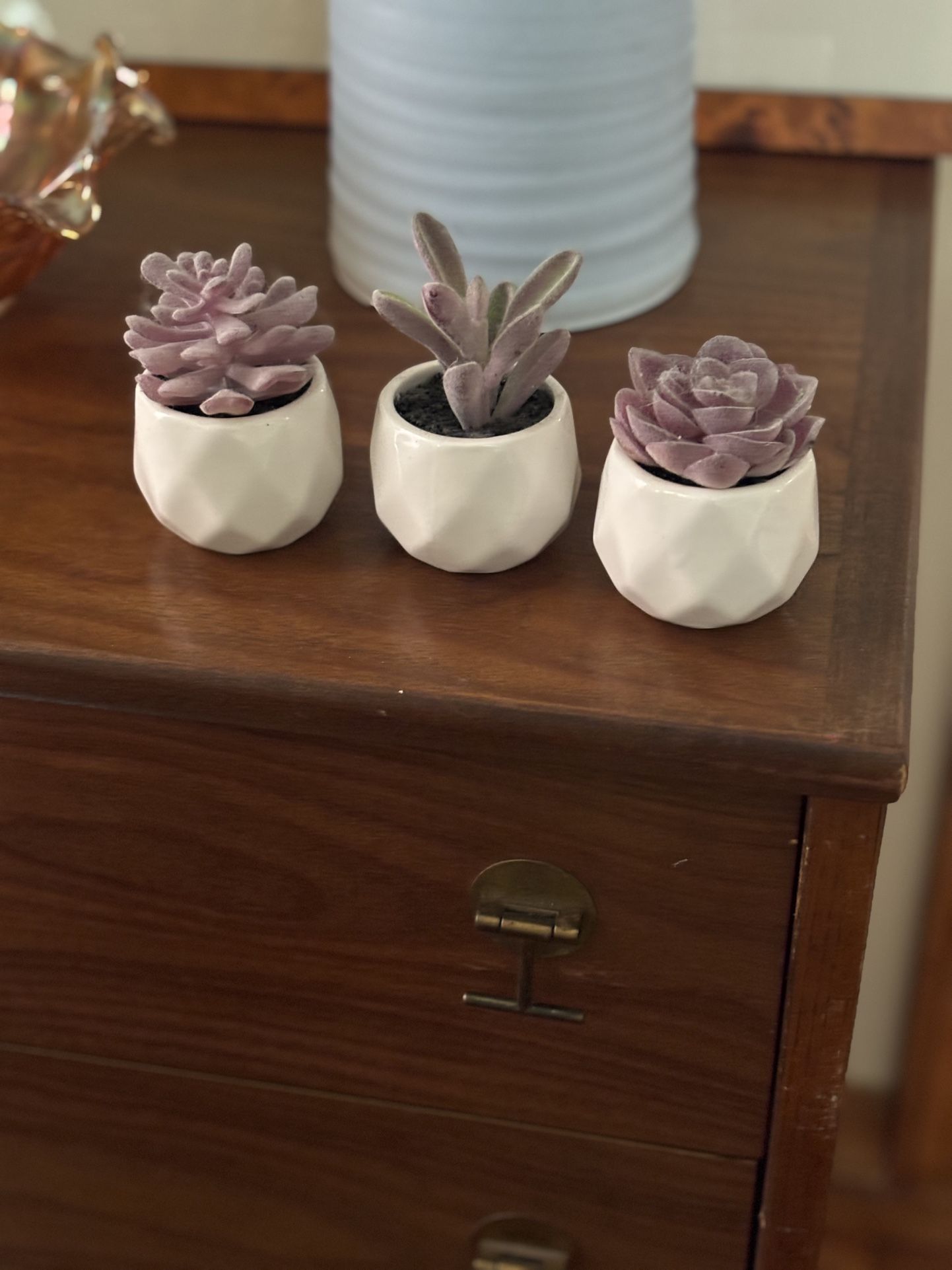 Faux Mini  Plants
