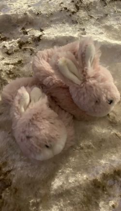 Bunny slippers