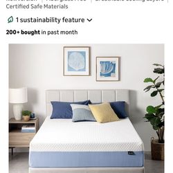 ZINUS 12 Inch Queen Cooling Essential Memory Foam Mattress, Medium Feel