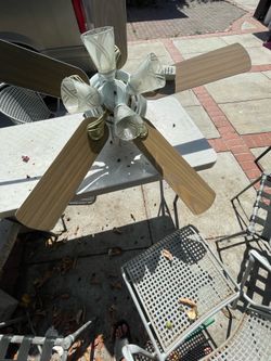 Fan