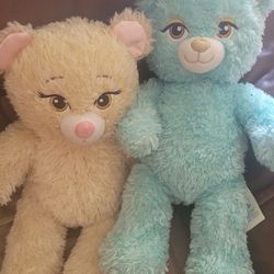 Princess Build A Bears. 20 For Both. Firm