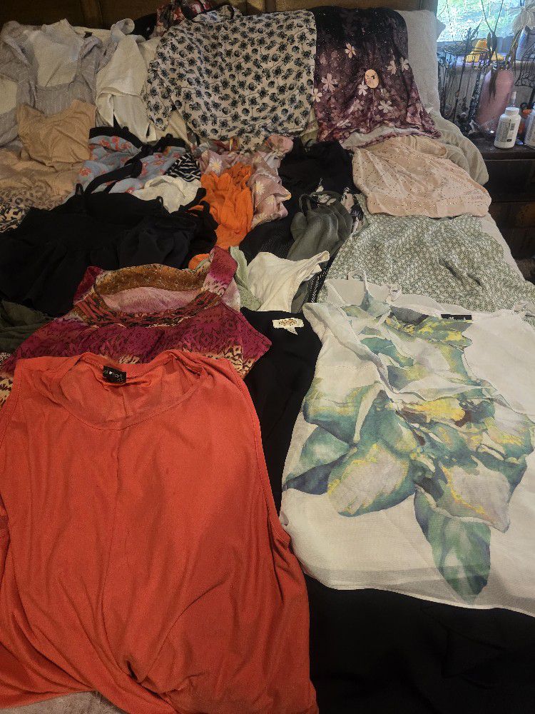 Huge Lot Womans Size 14/16  Clothing 