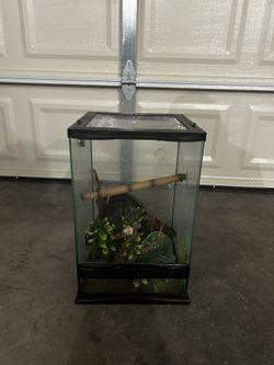 12x12x18 Reptile Tank