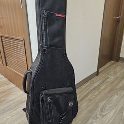 Fancy Travel Case For Acoustic Guitar