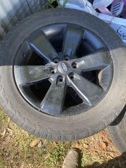 Tires and rock lights 